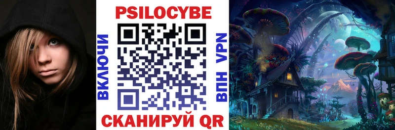 Галлюциногенные грибы GOLDEN TEACHER  где можно купить наркотик  Чегем 