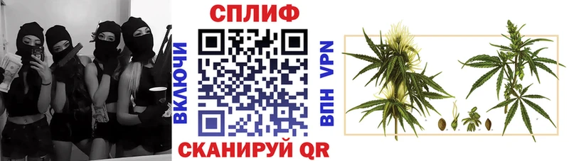 Каннабис AK-47 Чегем